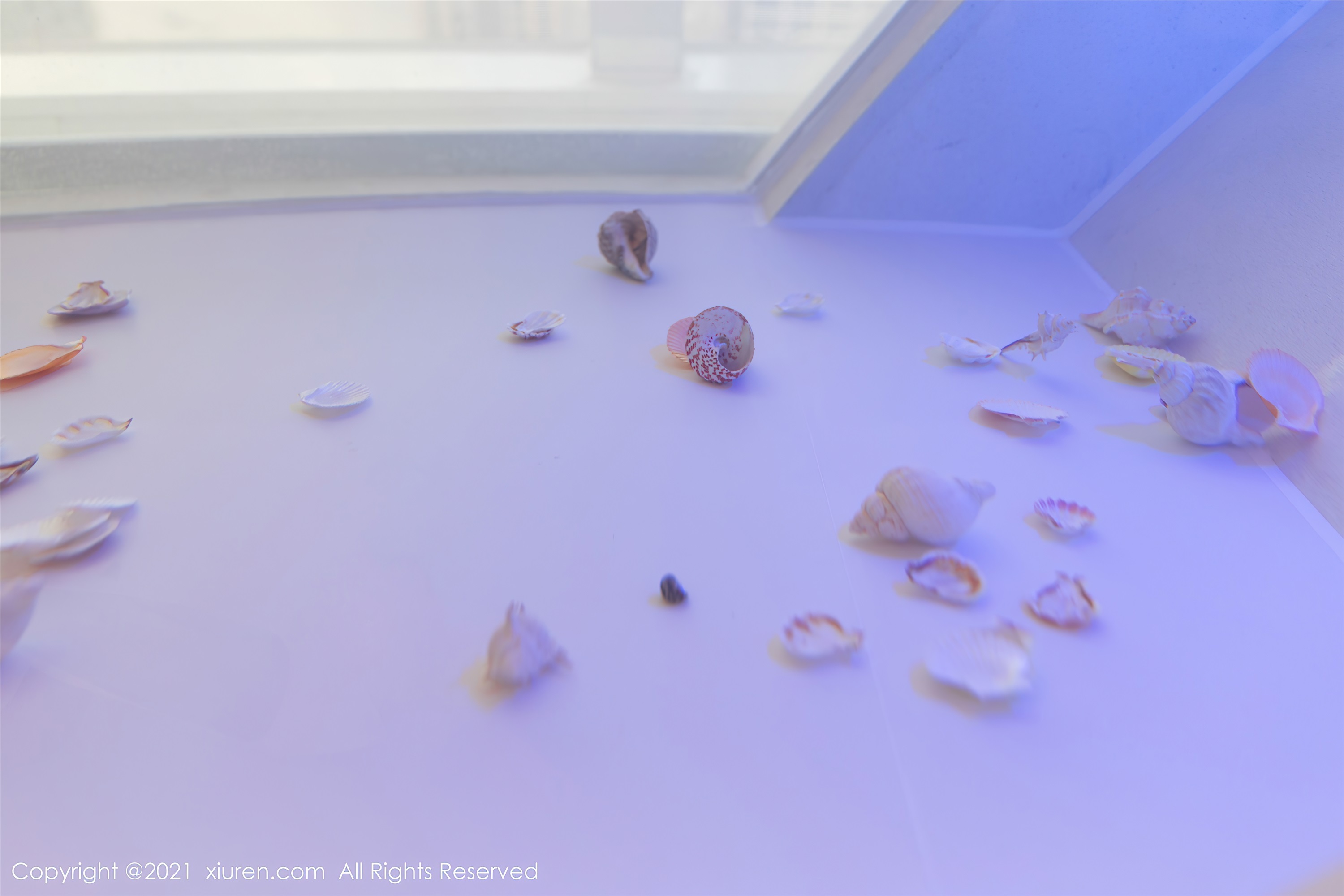 Xiuren秀人网 2021.10.22 NO.4103 允爾